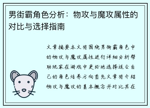 男街霸角色分析：物攻与魔攻属性的对比与选择指南